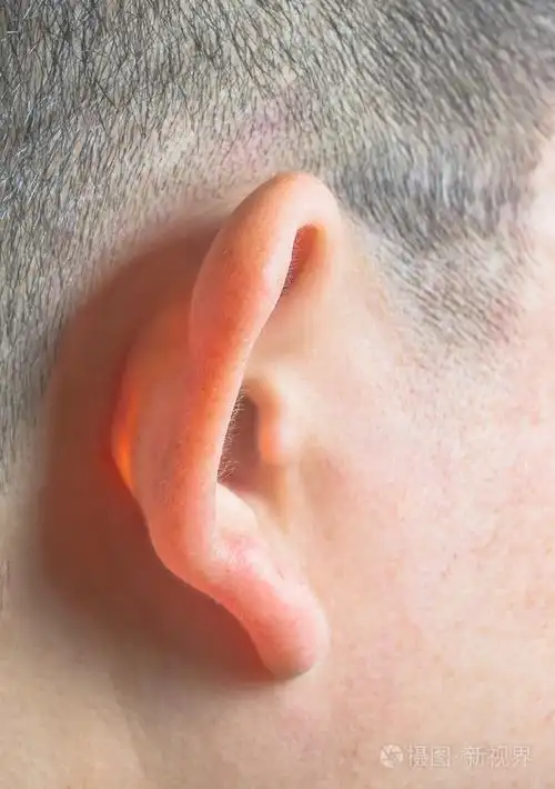 人的耳朵照片-正版商用图片1gj00e-摄图新视界