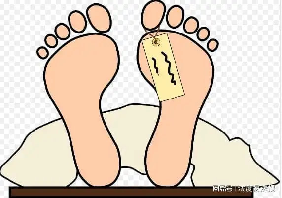 冷知识尸体死亡时间的推算方法你懂吗