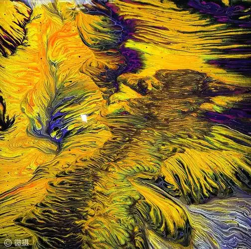 摄影大典丨微摄世界色彩摄影大赛一等奖获得者fionaart作品欣赏