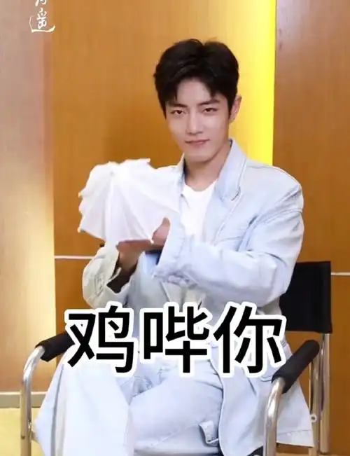 肖战鸡哔你