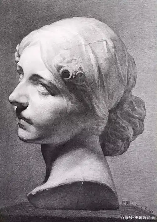 素描石膏像临摹范本