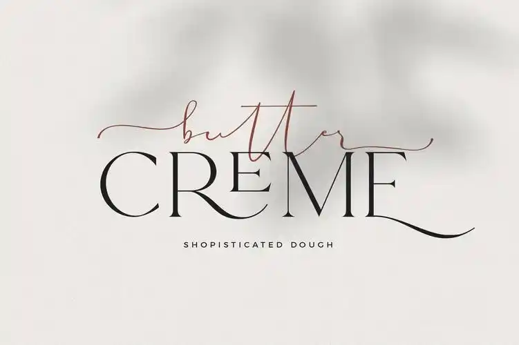 现代优雅杂志标题徽标logo设计衬线英文字体素材helloparis–variable