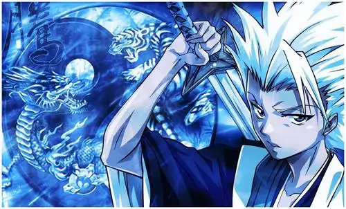 死神人物传记之最强冰雪系天才少年冬狮郎