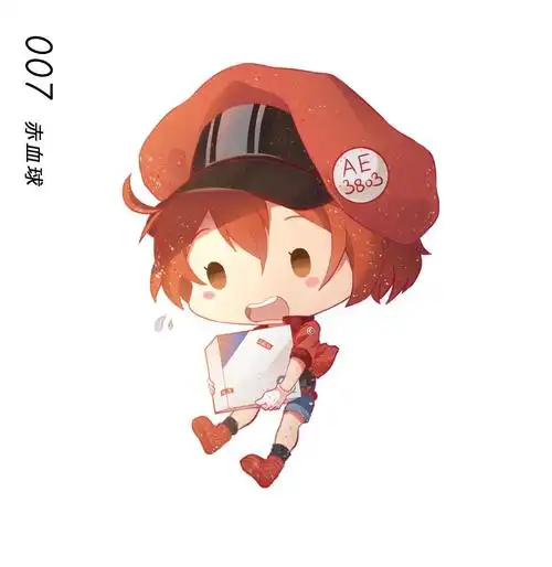 工作细胞红细胞