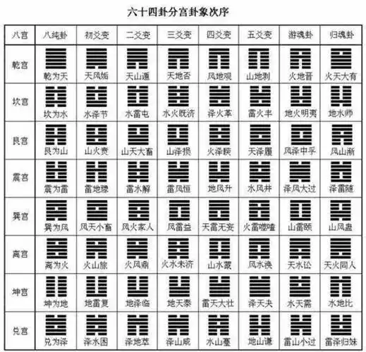 八宫卦象(十一)