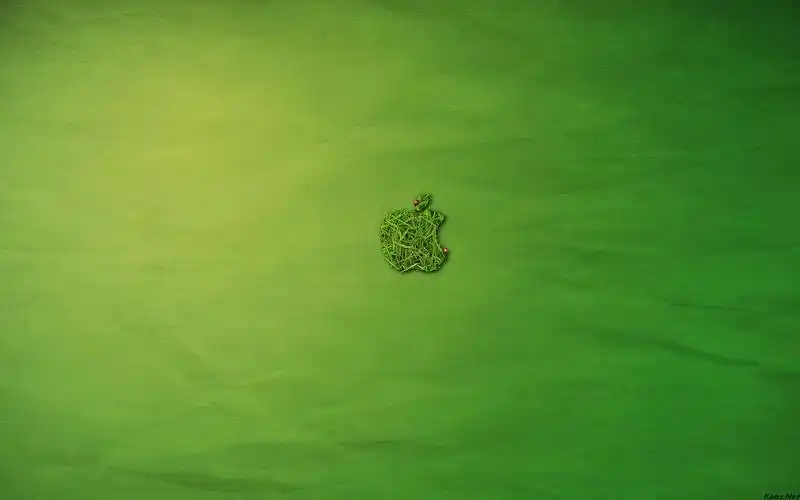 求壁纸一张 2011-04-15 求一张桌面背景 2 就是该图的背景图片,纯绿色