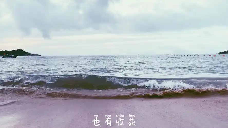 c  关注 陆地海浪  7月23日 18:27 来自 iphone xs max 收藏  转发