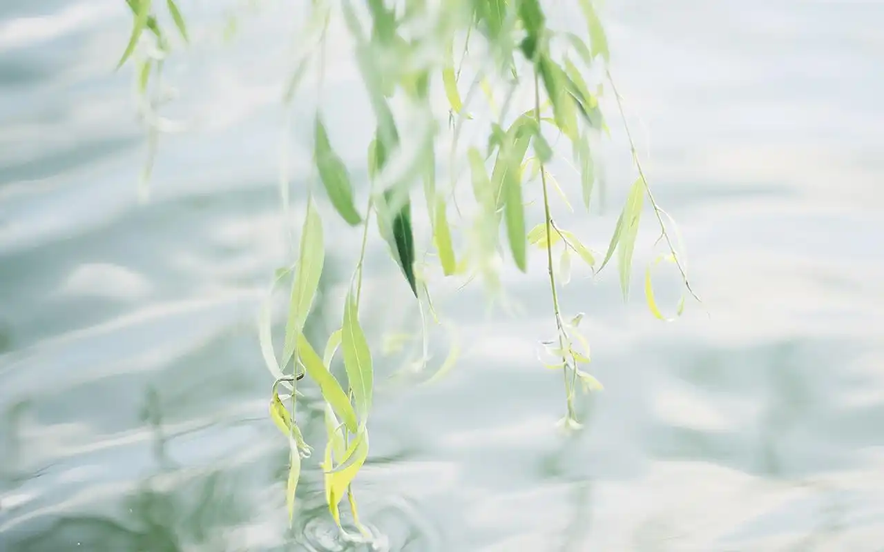 小清新唯美高清图片电脑桌面壁纸