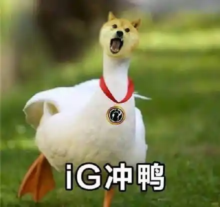 熊猫头抱肯德基和百事可乐看戏热门表情包原图精选201891斗图表情