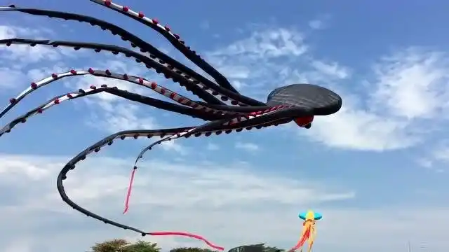 一个巨大的章鱼风筝,17米长,在天空像个怪物