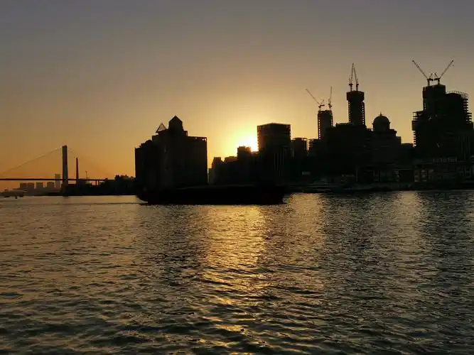 落日夕阳城市街道江水天鹅