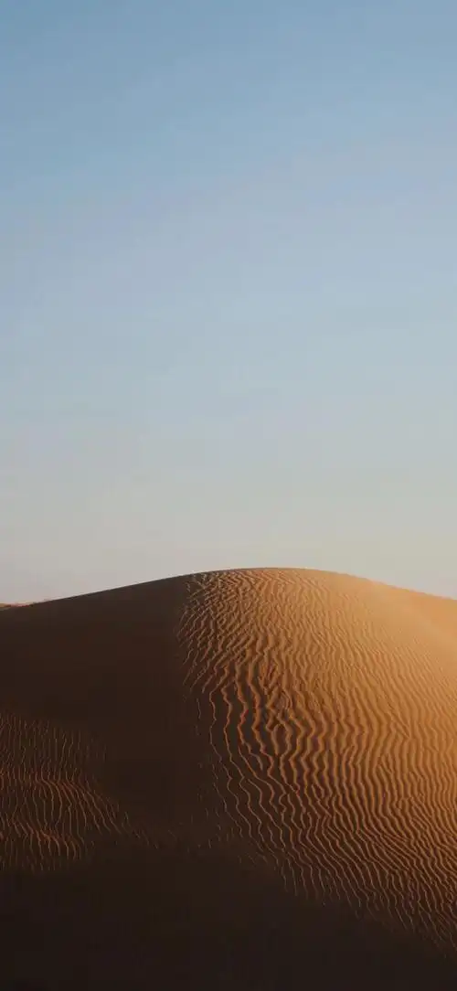 壁纸 沙漠 桌面 660_1431 竖版 竖屏 手机