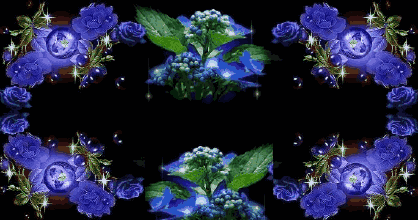 今天谁打开谁幸福