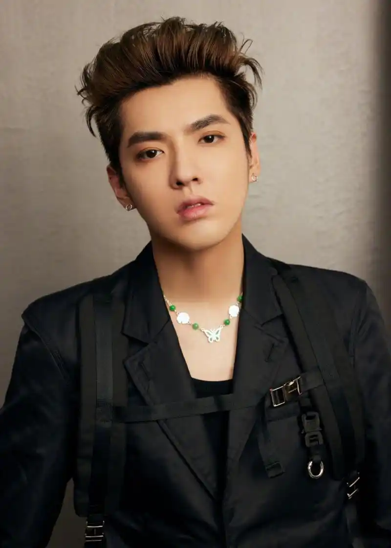 吴亦凡 黑色西装绅士优雅,大背头 眼神杀,是心动的感觉!@吴亦凡