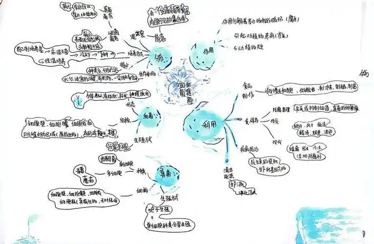 学生们积极参与,用自己的智慧和巧手,制作出了一张张精美的思维导图
