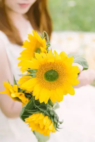 阳光下的向日葵女孩高清唯美美女写真