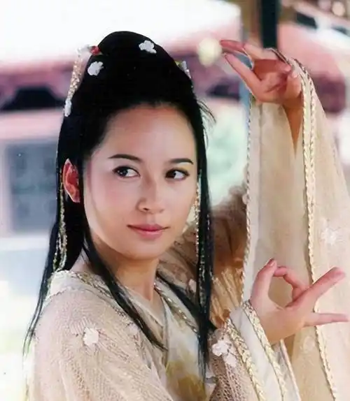 原创原创51岁单身俞飞鸿柳云龙是他的初恋感谢窦文涛陪伴了他20年