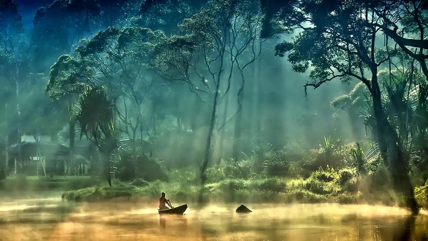 电脑桌面壁纸,风景壁纸,绿色,唯美,风景,自然,森林,丛林,壁纸,1920x