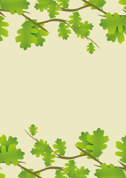 (封面 简历 自荐信)清新个人简历模板