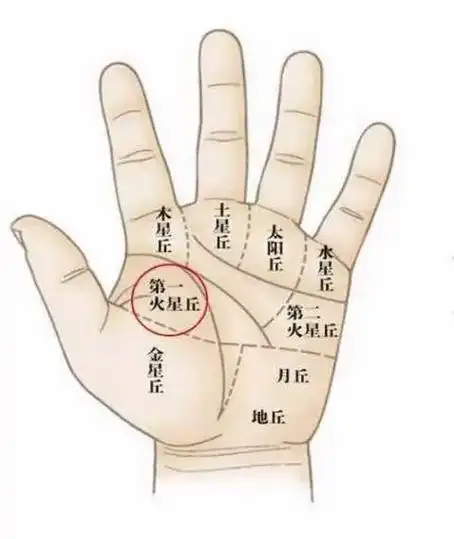 今天来简单说说关于看手相的一些知识点  不论 - 抖音