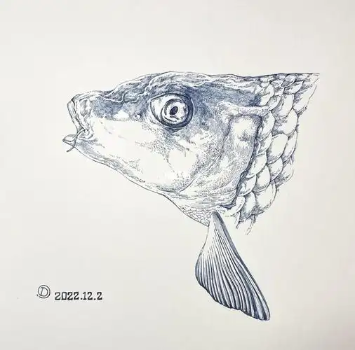 学习记录  #奔流画社  #寻找小红书绘画大神  #手绘  #鱼  #鱼头