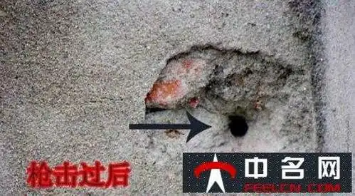 死刑犯枪决现场真实图片资料流出胆小者慎入