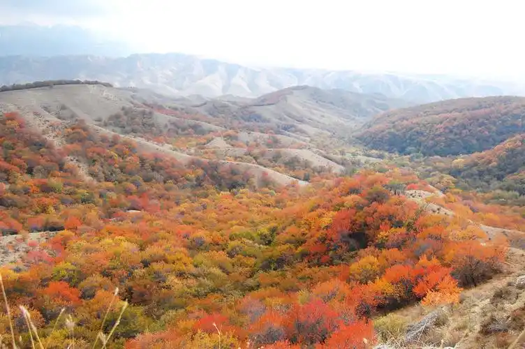伊犁大西沟福寿山秋色
