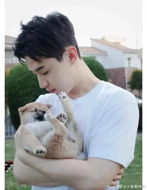 刘宪华的热爱如金##纯电smart首位代言人刘宪华