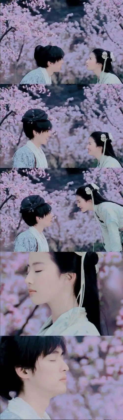 胡歌 刘亦菲 仙剑奇侠传