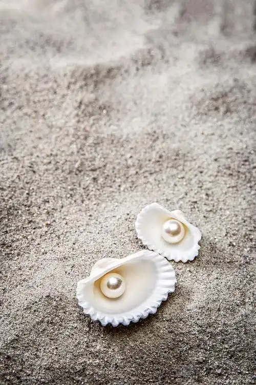 海水珍珠和淡水珍珠的区别有哪些?哪一个更值钱?