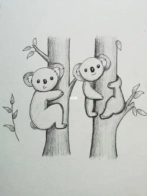 素描呆萌小动物考拉
