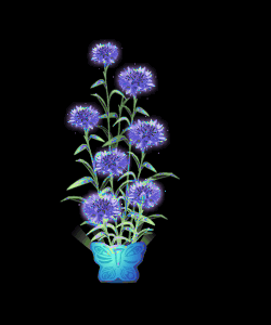 250_300gif 动态图 动图