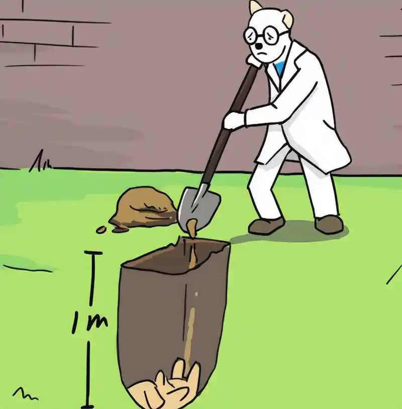 为什么猫咪死后不能埋其实是有科学依据的