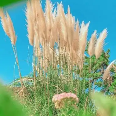 聚财招财旺财山水风景头像合集