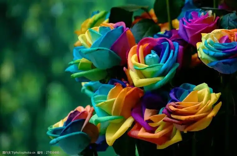 关键词:七彩花 仿真花 玫瑰 花束 七彩色 绿树 其