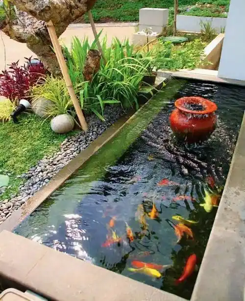 30款庭院鱼池设计,值得参考_水池