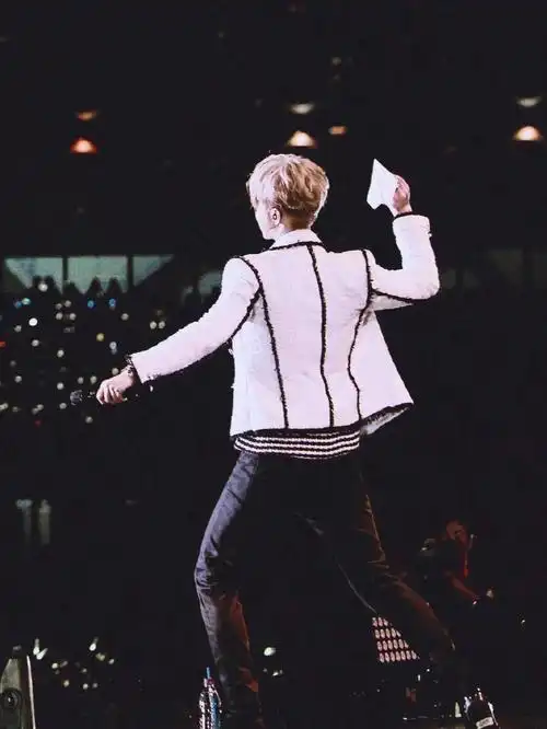 鹿晗  ##鹿晗壁纸  #鹿晗演唱会背影(3)