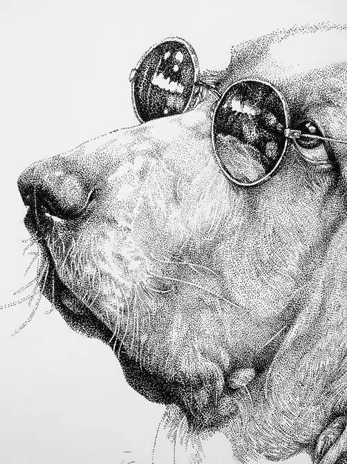 《动物—点绘系列》!