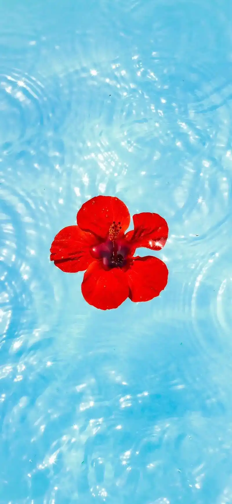 眼睛舒服壁纸.#感受大自然的气息和美景  #治愈系风景  # - 抖音