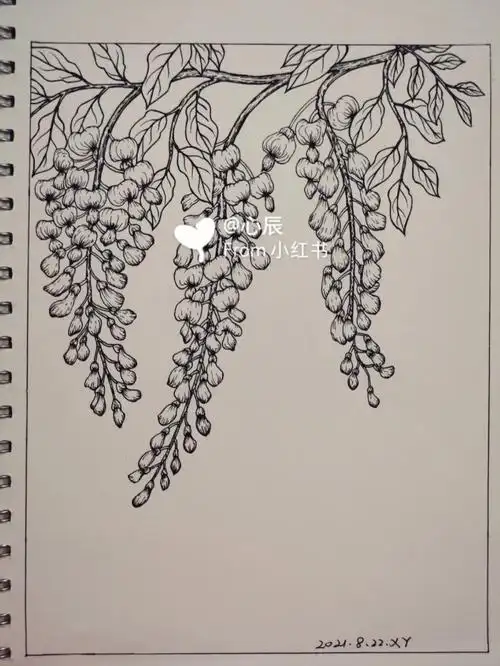 34针管笔手绘古风紫藤