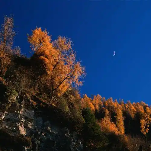 最美的风景微信头像图片头像网为您精挑细选