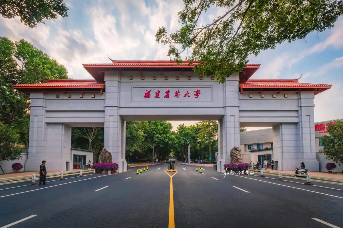 福建农林大学东门已经完工了,我们学校终于有大门了!