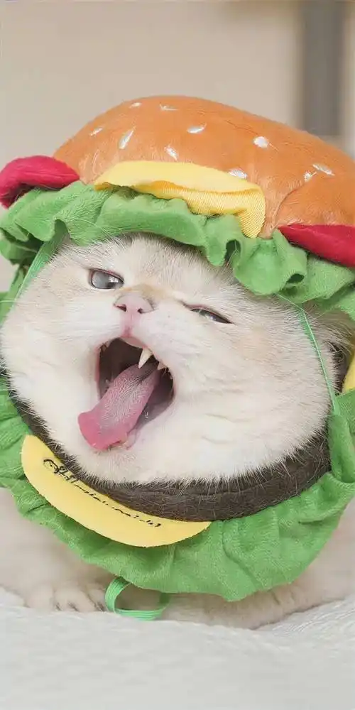 壁纸 | 个性搞怪锁屏壁纸 好看到爆!