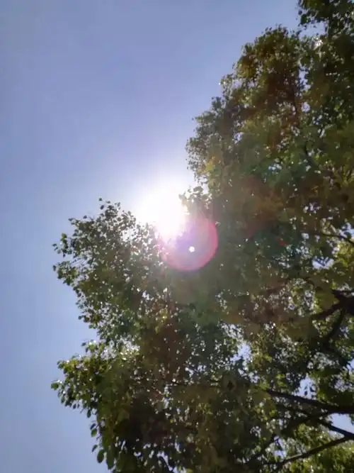 逆光拍摄之心中太阳77