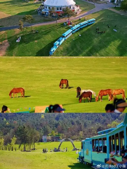 壁纸 草原 桌面 690_920 竖版 竖屏 手机