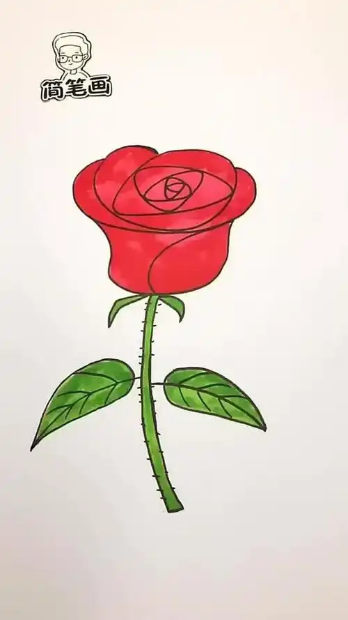 30秒教你简笔画玫瑰花,学会了吗?