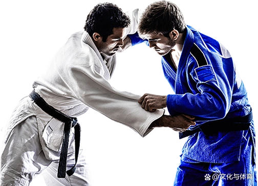 在柔道,剑道和相扑中进攻对手时所用的招式动作称为"技"或"业",而双方