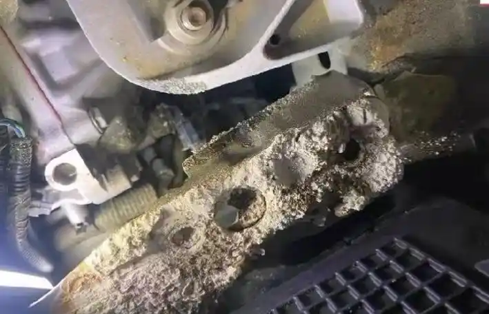 买了不到十个月的新车电瓶竟然漏液车主再也不买日本车了