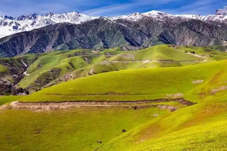 新疆霍城大西沟,美得感天动地!_伊犁_樱桃_野果