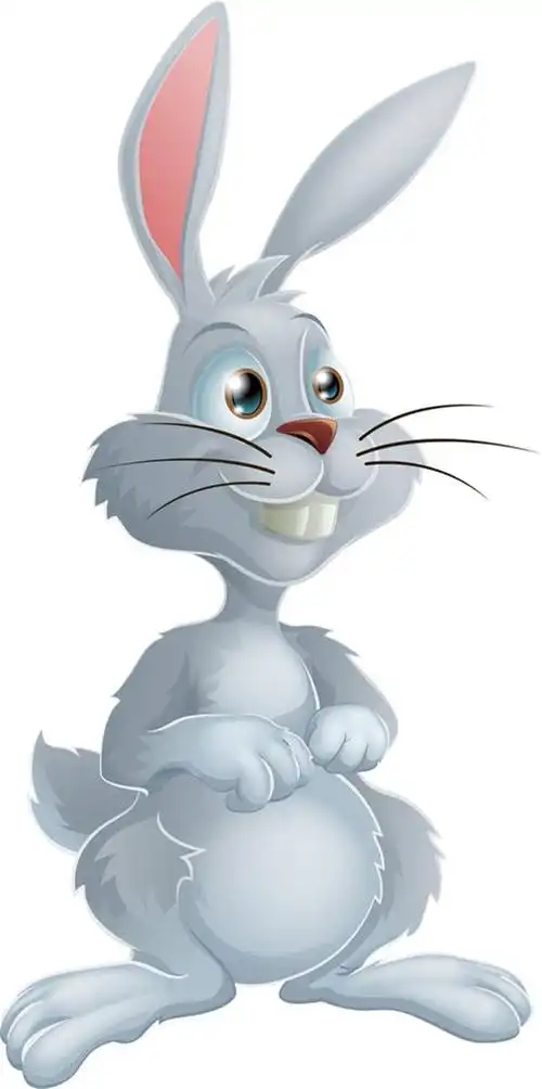 兔图片_兔图片大全_兔图片素材